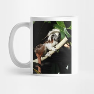 Cotton-top Tamarin Mug